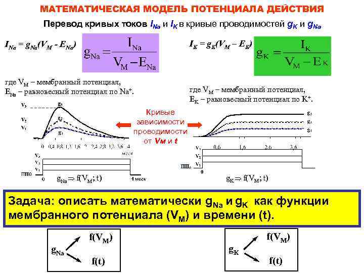 Потенциал s 4