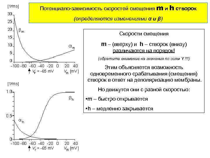 Потенциал s 4