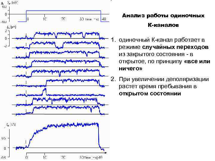 Анализ работы одиночных К-каналов 1. одиночный К-канал работает в режиме случайных переходов из закрытого