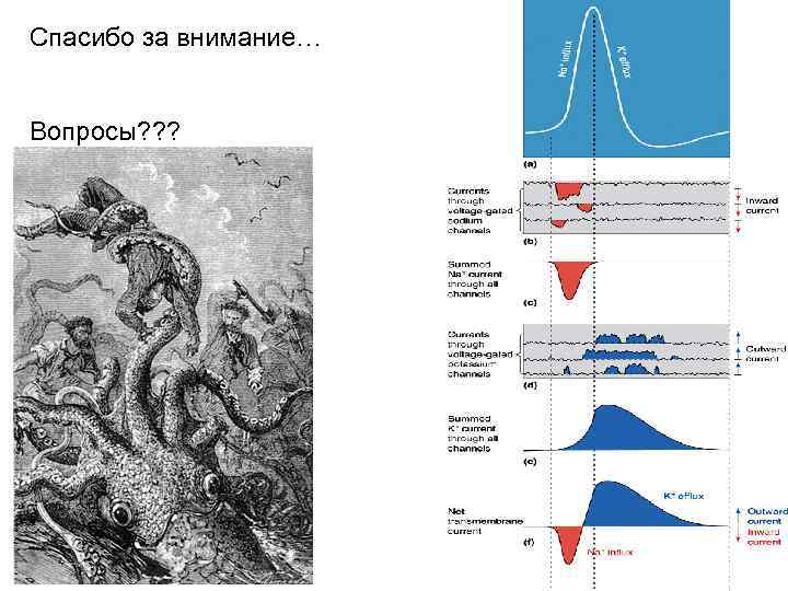 Спасибо за внимание… Вопросы? ? ? 