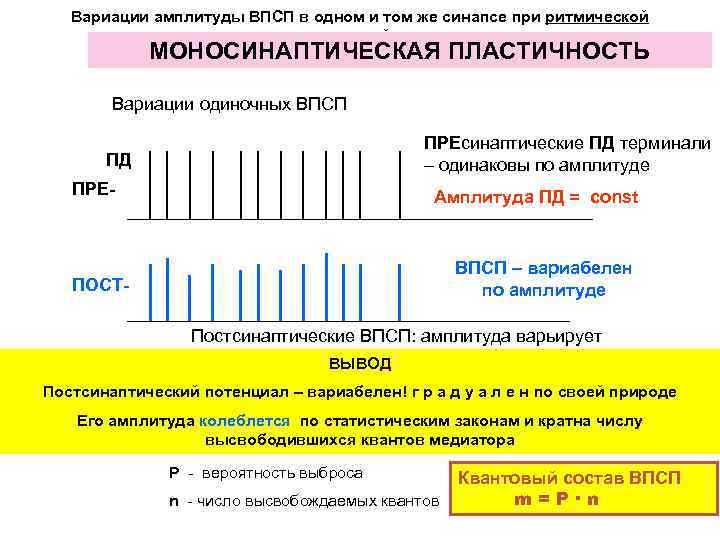 Вариации амплитуды ВПСП в одном и том же синапсе при ритмической высокочастотной передаче МОНОСИНАПТИЧЕСКАЯ