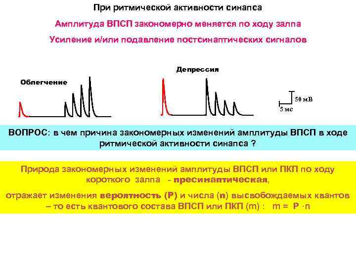 Амплитуда санкт петербурга. Синаптическое облегчение и синаптическая депрессия. Депрессия синаптической передачи это. Синаптическая депрессия физиология. Амплитуда постсинаптического потенциала.