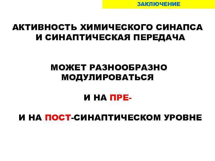 ЗАКЛЮЧЕНИЕ АКТИВНОСТЬ ХИМИЧЕСКОГО СИНАПСА И СИНАПТИЧЕСКАЯ ПЕРЕДАЧА МОЖЕТ РАЗНООБРАЗНО МОДУЛИРОВАТЬСЯ И НА ПРЕИ НА