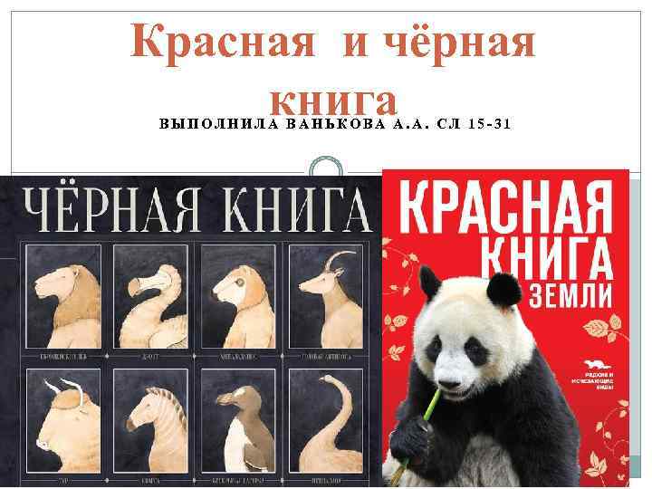 Красная и чёрная книга ВЫПОЛНИЛА ВАНЬКОВА А. А. СЛ 15 -31 
