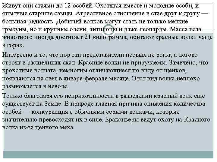 Живут они стаями до 12 особей. Охотятся вместе и молодые особи, и опытные старшие