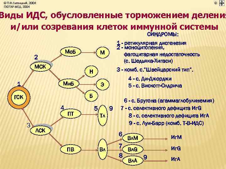 © П. Ф. Литвицкий, 2004 ГЭОТАР-МЕД, 2004 © Виды ИДС, обусловленные торможением деления и/или