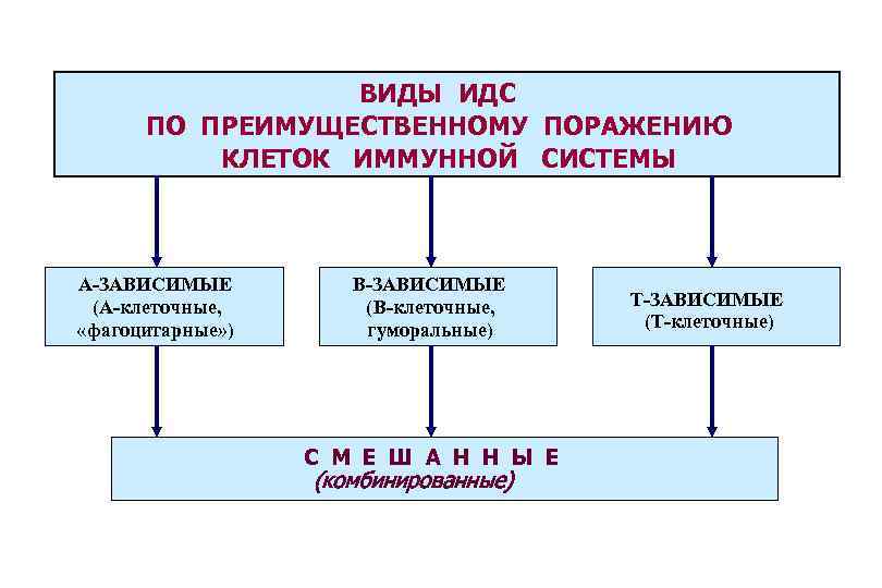 ВИДЫ ИДС ПО ПРЕИМУЩЕСТВЕННОМУ ПОРАЖЕНИЮ КЛЕТОК ИММУННОЙ СИСТЕМЫ А-ЗАВИСИМЫЕ (А-клеточные, «фагоцитарные» ) В-ЗАВИСИМЫЕ (В-клеточные,