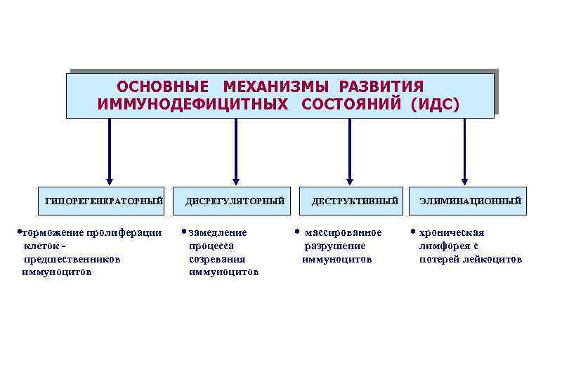 ОСНОВНЫЕ МЕХАНИЗМЫ РАЗВИТИЯ ИММУНОДЕФИЦИТНЫХ СОСТОЯНИЙ (ИДС) ГИПОРЕГЕНЕРАТОРНЫЙ *торможение пролиферации клеток предшественников иммуноцитов ДИСРЕГУЛЯТОРНЫЙ *