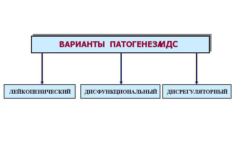 ВАРИАНТЫ ПАТОГЕНЕЗА ИДС ЛЕЙКОПЕНИЧЕСКИЙ ДИСФУНКЦИОНАЛЬНЫЙ ДИСРЕГУЛЯТОРНЫЙ 