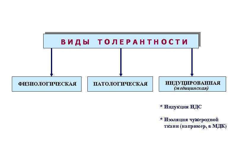 ВИДЫ ФИЗИОЛОГИЧЕСКАЯ ТОЛЕРАНТНОСТИ ПАТОЛОГИЧЕСКАЯ ИНДУЦИРОВАННАЯ (медицинская) * Индукция ИДС * Изоляция чужеродной ткани (например,