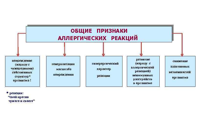 ОБЩИЕ ПРИЗНАКИ АЛЛЕРГИЧЕСКИХ РЕАКЦИЙ повреждение (наряду с чужеродными) собственных структур* организма ! * реакция: