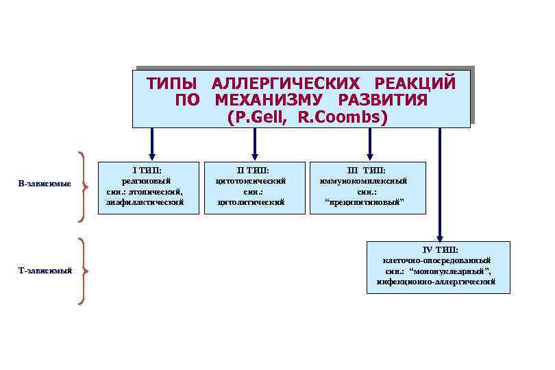 ТИПЫ АЛЛЕРГИЧЕСКИХ РЕАКЦИЙ ПО МЕХАНИЗМУ РАЗВИТИЯ (P. Gell, R. Coombs) В-зависимые Т-зависимый I ТИП: