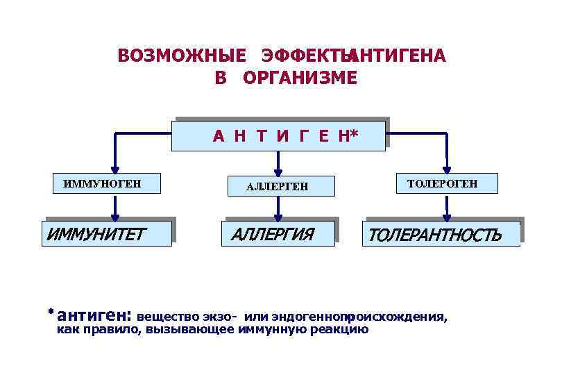 ВОЗМОЖНЫЕ ЭФФЕКТЫ АНТИГЕНА В ОРГАНИЗМЕ А Н Т И Г Е Н* ИММУНОГЕН ИММУНИТЕТ