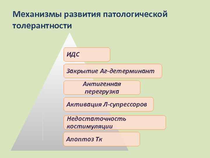 Механизмы развития патологической толерантности ИДС Закрытие Аг-детерминант Антигенная перегрузка Активация Л-супрессоров Недостаточность костимуляции Апоптоз