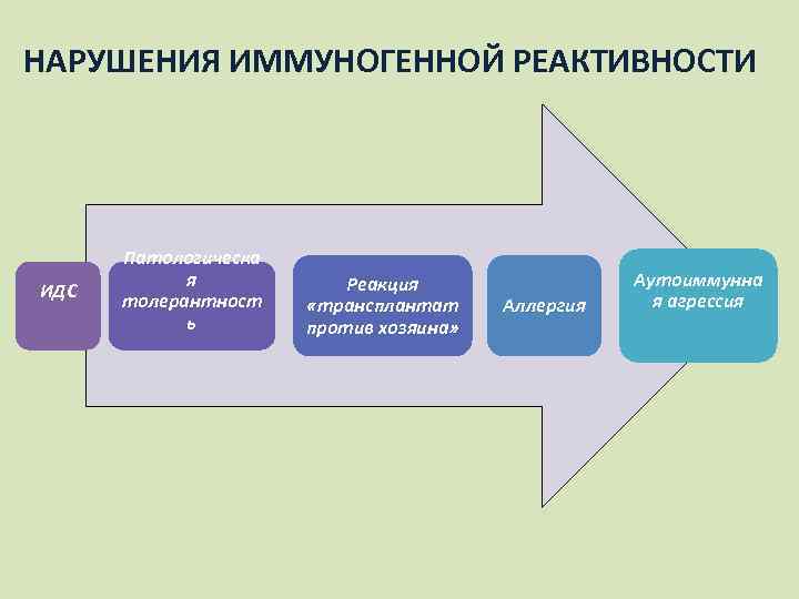 НАРУШЕНИЯ ИММУНОГЕННОЙ РЕАКТИВНОСТИ ИДС Патологическа я толерантност ь Реакция «трансплантат против хозяина» Аллергия Аутоиммунна