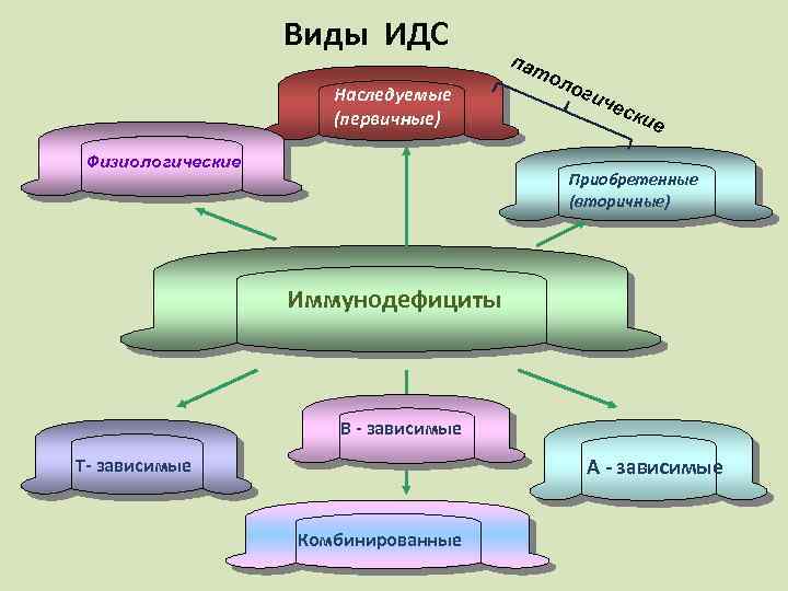 Виды ИДС Наследуемые (первичные) Физиологические пат ол оги чес кие Приобретенные (вторичные) Иммунодефициты В