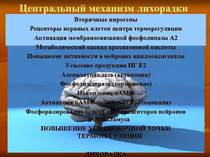 Центральный механизм лихорадки Вторичные пирогены Рецепторы нервных клеток центра терморегуляции Активация мембраносвязанной фосфолипазы А