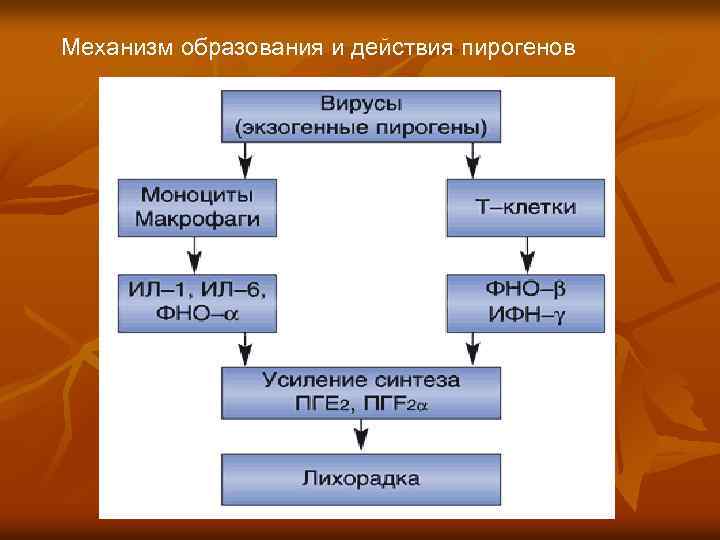 Механизм образования и действия пирогенов 