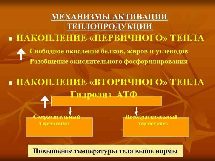 МЕХАНИЗМЫ АКТИВАЦИИ ТЕПЛОПРОДУКЦИИ n НАКОПЛЕНИЕ «ПЕРВИЧНОГО» ТЕПЛА Свободное окисление белков, жиров и углеводов Разобщение
