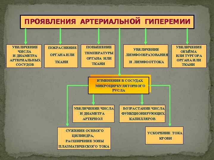 Артериальная гиперемия схема