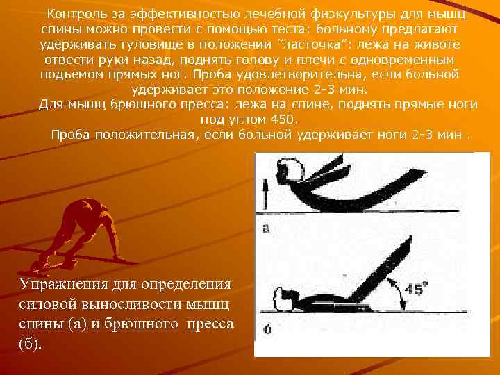 Статическая выносливость мышц. Силовая выносливость мышц брюшного пресса. Оценка статической выносливости мышц брюшного пресса. Тест на силовую выносливость мышц спины. Уровень силовой выносливости мышц живота.