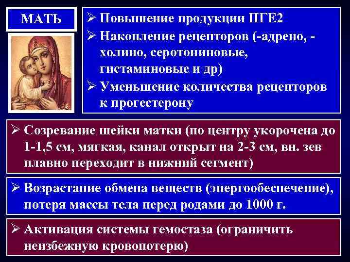 МАТЬ Ø Повышение продукции ПГЕ 2 Ø Накопление рецепторов (-адрено, холино, серотониновые, гистаминовые и