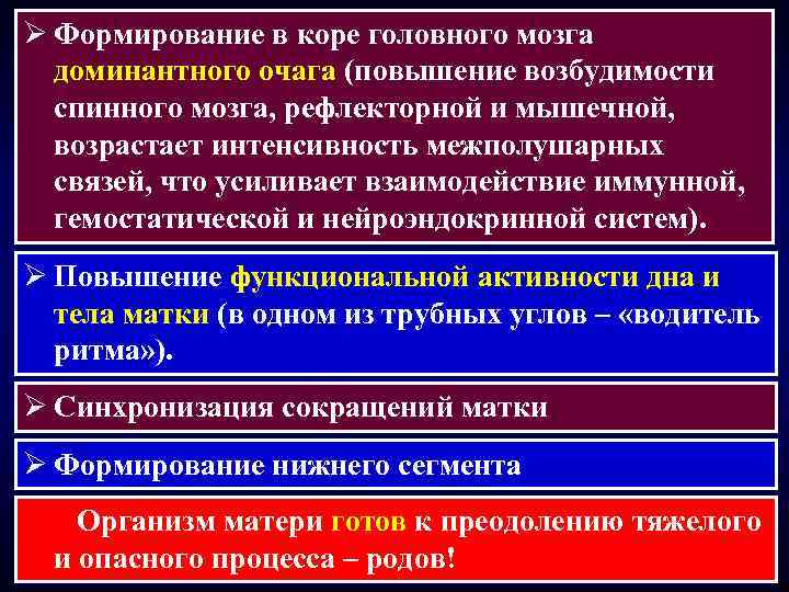 Ø Формирование в коре головного мозга доминантного очага (повышение возбудимости спинного мозга, рефлекторной и