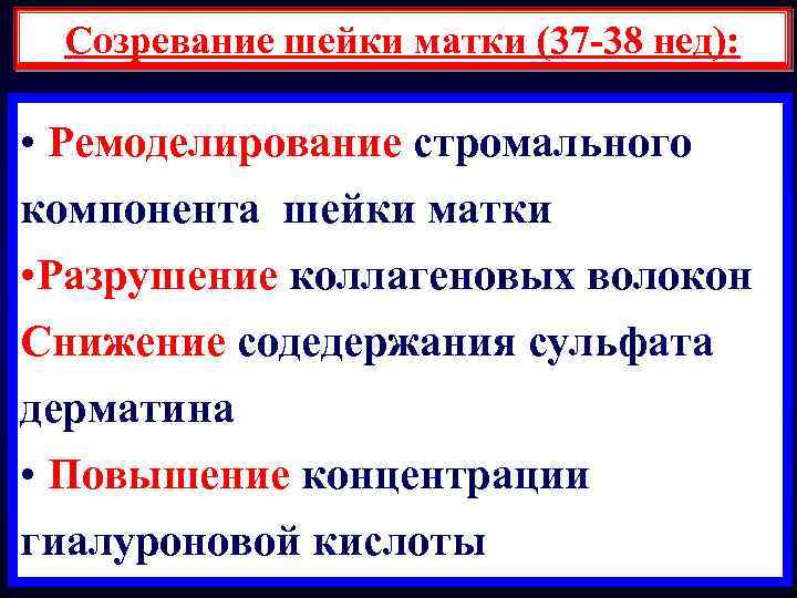 Созревание шейки матки (37 -38 нед): • Ремоделирование стромального компонента шейки матки • Разрушение