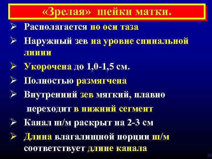  «Зрелая» шейки матки. Ø Располагается по оси таза Ø Наружный зев на уровне