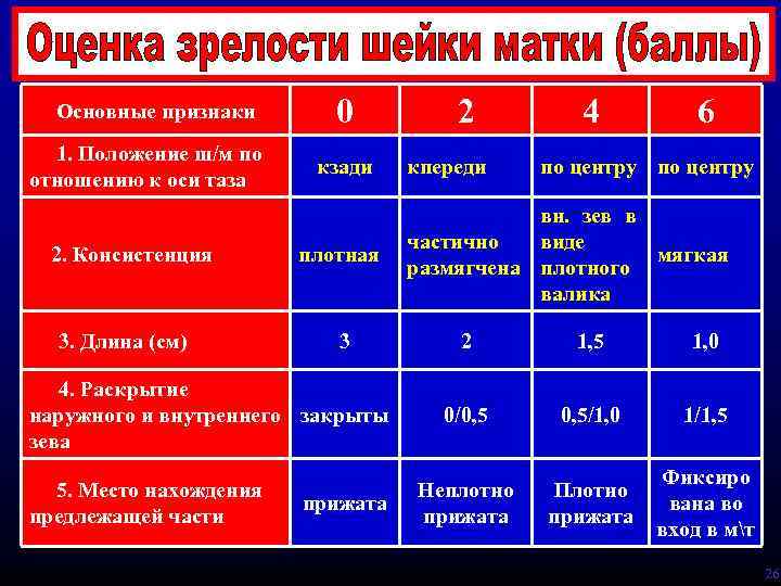 Основные признаки 1. Положение ш/м по отношению к оси таза 2. Консистенция 3. Длина