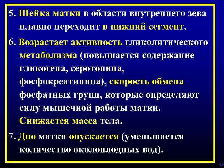 5. Шейка матки в области внутреннего зева плавно переходит в нижний сегмент. 6. Возрастает