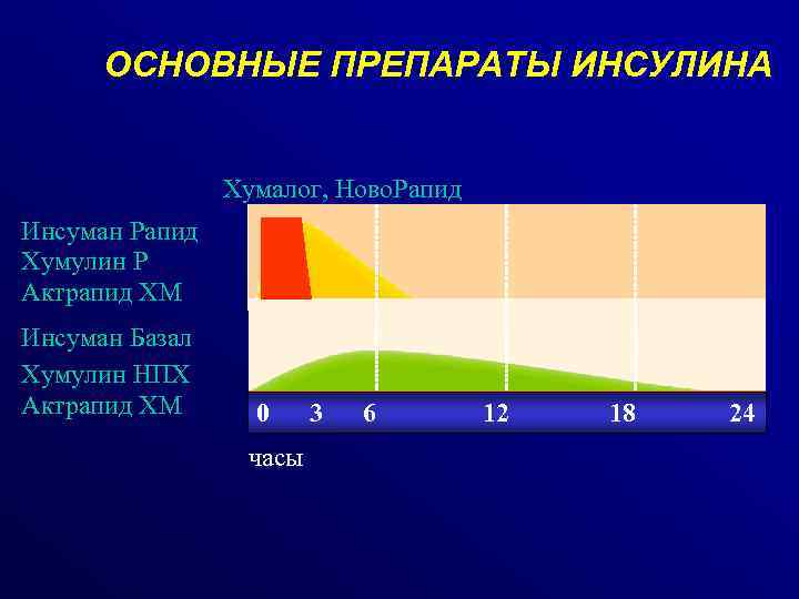 ОСНОВНЫЕ ПРЕПАРАТЫ ИНСУЛИНА Хумалог, Ново. Рапид Инсуман Рапид Хумулин Р Актрапид ХМ Инсуман Базал