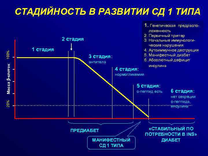 СТАДИЙНОСТЬ В РАЗВИТИИ СД 1 ТИПА 1. Генетическая 1 стадия 3 стадия: антитела 4