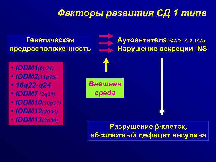 Факторы развития СД 1 типа Генетическая предрасположенность • IDDM 1(6 p 21) • IDDM