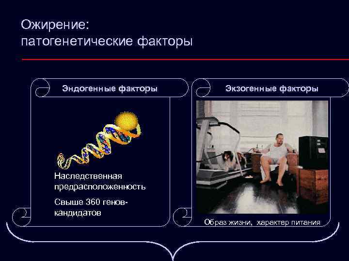 Ожирение: патогенетические факторы Эндогенные факторы Экзогенные факторы Наследственная предрасположенность Свыше 360 геновкандидатов Образ жизни,