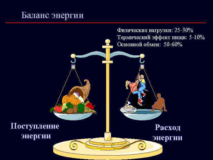 Баланс энергии Физические нагрузки: 25 -30% Термический эффект пищи: 5 -10% Основной обмен: 50