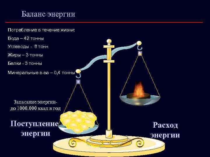 Баланс энергии Потребление в течение жизни: Вода – 42 тонны Углеводы - 8 тонн