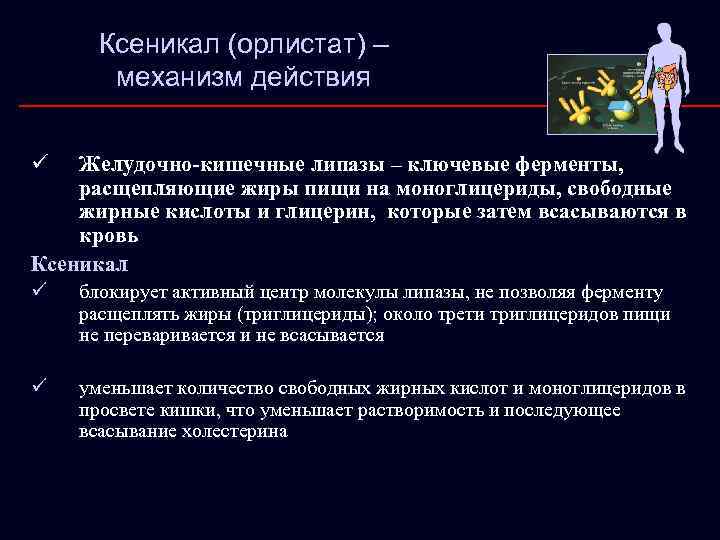 Ксеникал (орлистат) – механизм действия ü Желудочно-кишечные липазы – ключевые ферменты, расщепляющие жиры пищи