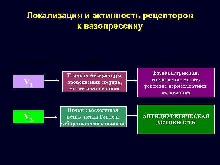 Локализация и активность рецепторов к вазопрессину Тип рецептора Ткань Эффект стимуляции V 1 Гладкая