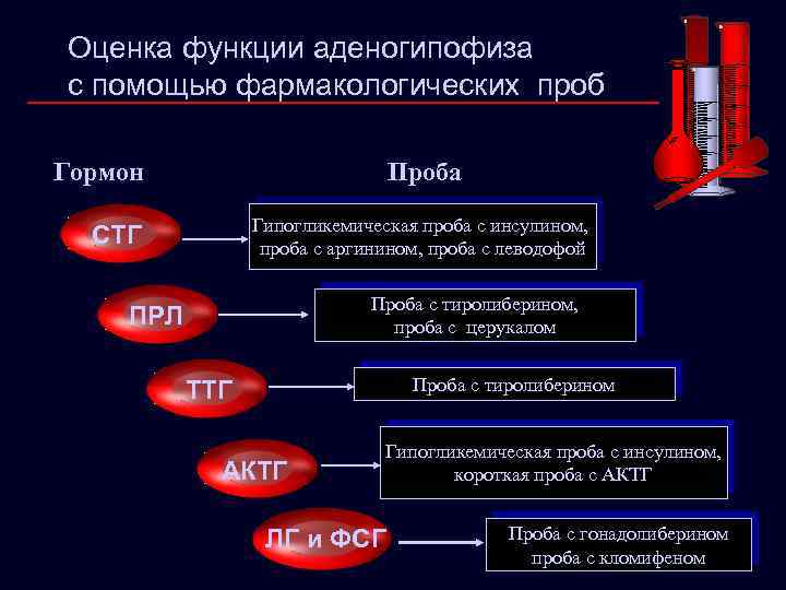 Оценка функции аденогипофиза с помощью фармакологических проб Гормон Проба Гипогликемическая проба с инсулином, проба