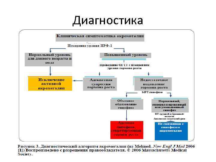 Диагностика 