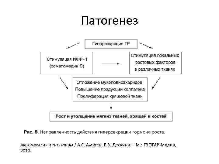 Патогенез Акромегалия и гигантизм / А. С. Аметов, Е. В. Доскина. – М. :