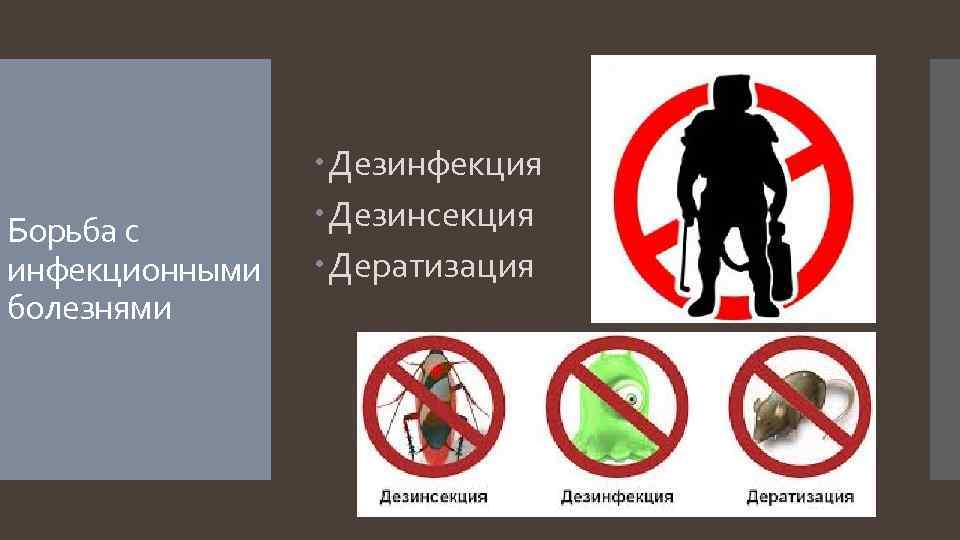 Борьба с инфекционными болезнями Дезинфекция Дезинсекция Дератизация 