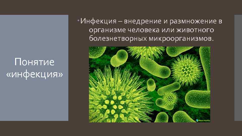  Инфекция – внедрение и размножение в организме человека или животного болезнетворных микроорганизмов. Понятие