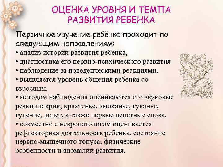 ОЦЕНКА УРОВНЯ И ТЕМПА РАЗВИТИЯ РЕБЕНКА Первичное изучение ребёнка проходит по следующим направлениям: •