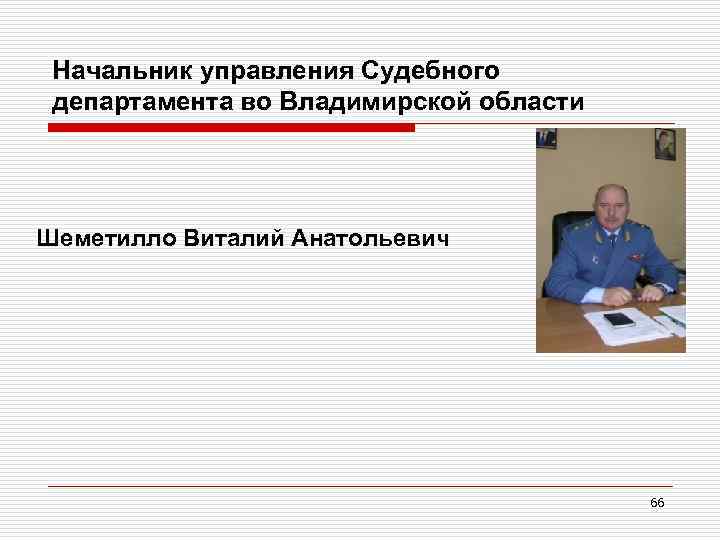 Начальник управления Судебного департамента во Владимирской области Шеметилло Виталий Анатольевич 66 