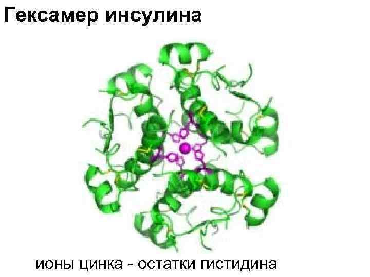Гексамер инсулина ионы цинка - остатки гистидина 