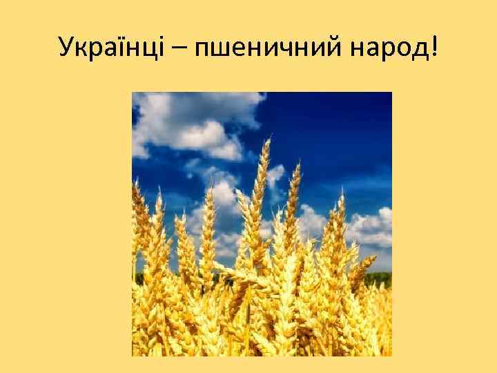 Українці – пшеничний народ! 