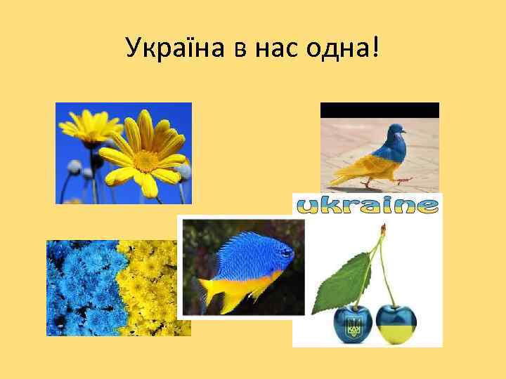 Україна в нас одна! 