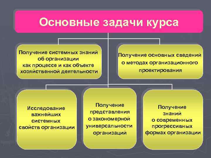 Основные задачи курса Получение системных знаний об организации как процессе и как объекте хозяйственной